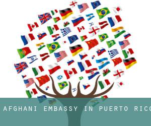 Afghani Embassy in Puerto Rico