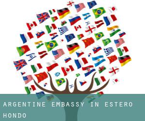 Argentine Embassy in Estero Hondo