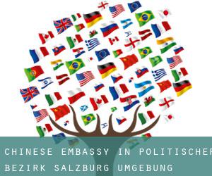 Chinese Embassy in Politischer Bezirk Salzburg Umgebung