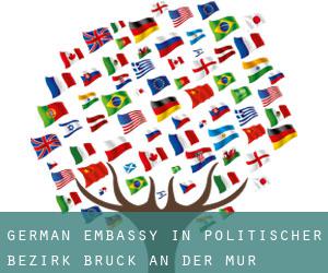 German Embassy in Politischer Bezirk Bruck an der Mur