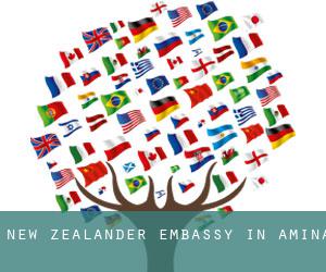 New Zealander Embassy in Amina